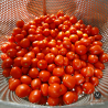Sicilian Tomato Pesto 290 g