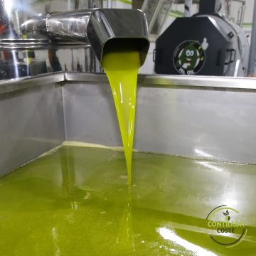 Organic Extra Virgin Olive Oil 3 liters