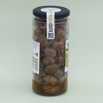 Seasoned Green Olives 400 g