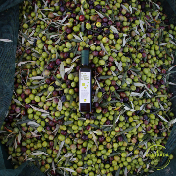Organic Extra Virgin Olive Oil 250 ml