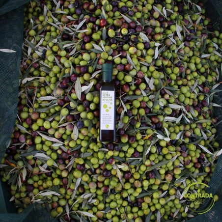 Bio Natives Olivenöl Extra 500 ml